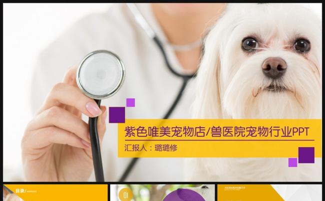 紫色简约唯美宠物医院宠物医生PPT模板缩略图