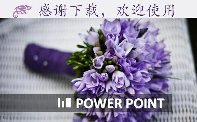 【难】制作-清新淡雅通用PPT模板缩略图