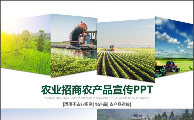 绿色生态农业招商农产品宣传工作汇报总结PPT模板缩略图