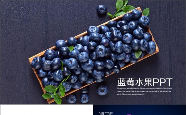 精美大气蓝莓水果蓝莓种植通用动态PPT缩略图