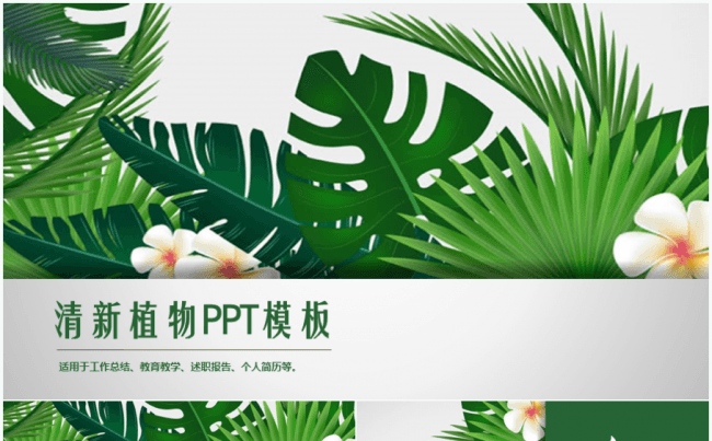 清新植物总结汇报ppt模板缩略图