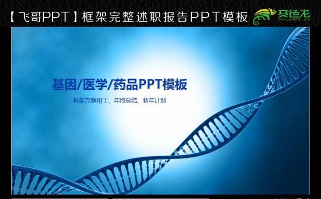 基因医学报告ppt模板缩略图