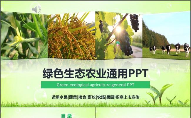 【时光】2017绿色生态农业招商农产品发布PPT缩略图