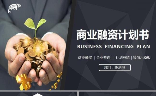 【融资计划】高端大气企业融资计划书缩略图