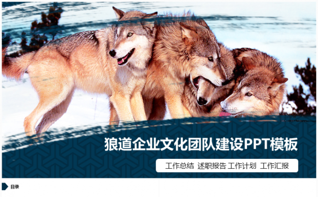 狼群文化企业文化宣传团队精神介绍工作计划工作总结PPT模板缩略图