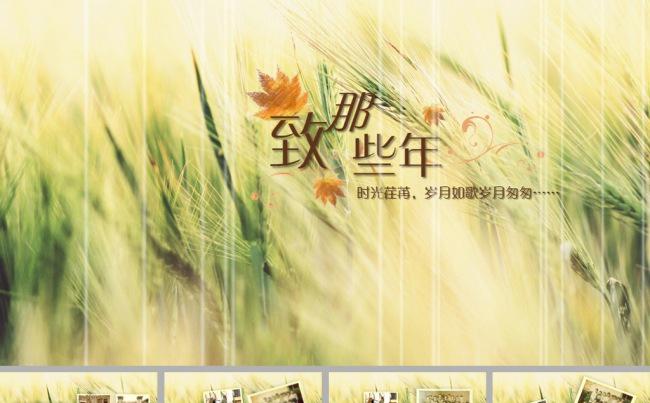 清雅致那些年青春纪念册ppt模板缩略图