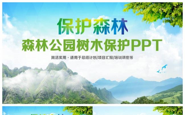 清新森林公园保护树木保护森林PPT缩略图