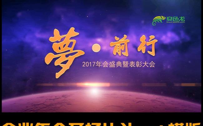 2017企业年会ppt模版缩略图