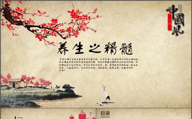 中国风养生精髓缩略图