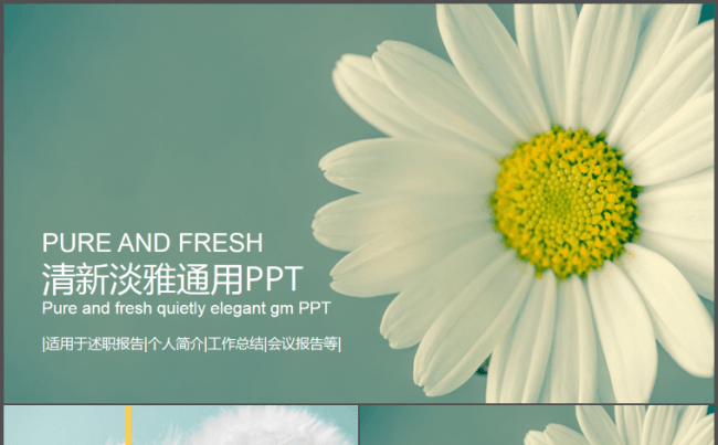 【推荐】清新淡雅通用PPT模板缩略图