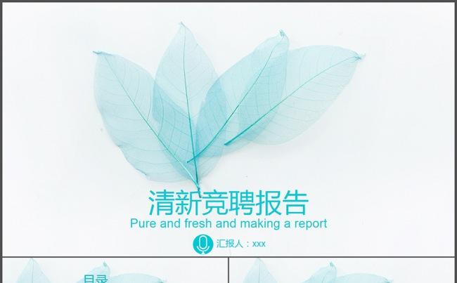 2017精品小清新工作总结简历模板PPT缩略图