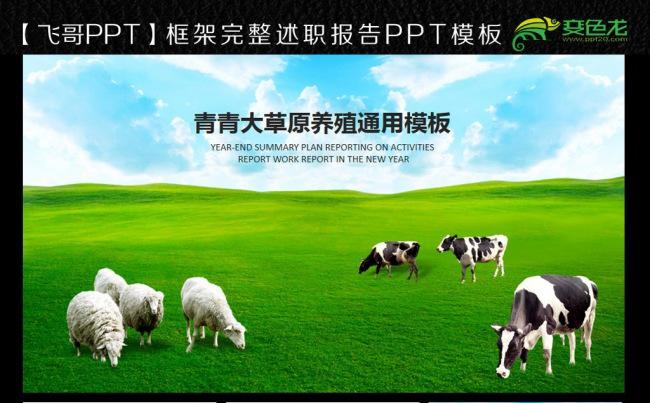 青青草原畜牧业奶牛养殖乳业PPT模板缩略图