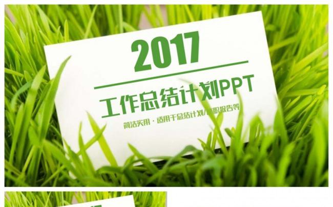 精致清新2017工作计划总结年终汇报PPT缩略图