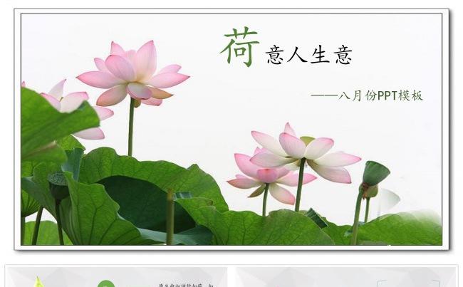唯美荷花主题通用PPT模板缩略图