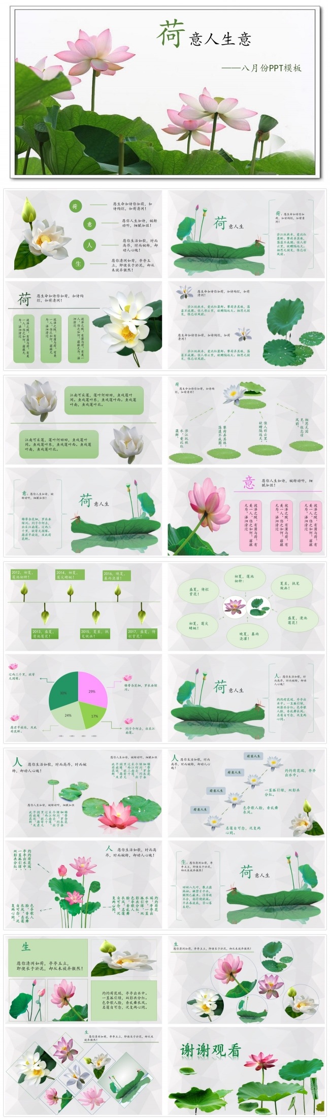 唯美荷花主题通用PPT模板
