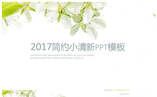 2017小清新唯美PPT模板.pptx缩略图