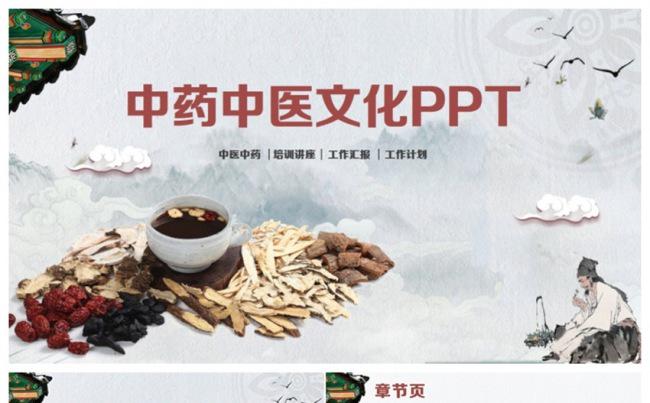 简洁中医中药药材草药养生PPT缩略图