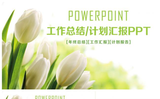 绿色精致典雅工作总结年终汇报2017工作计划PPT缩略图
