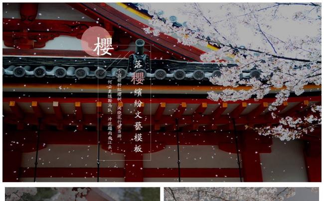 落樱缤纷唯美文艺樱花模板 文化介绍旅游景点酒店宣传工作汇报缩略图