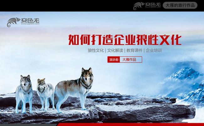 狼性文化狼道精神员工培训团队学习PPT缩略图