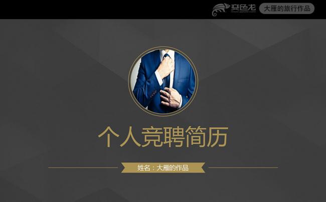2017稳重大气个人竞聘简历PPT动态模板缩略图