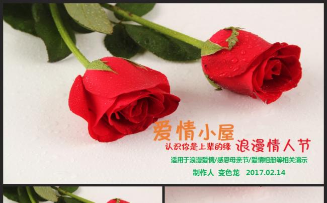 文艺浪漫情人节表白爱情相册纪念写真专场PPT模板缩略图
