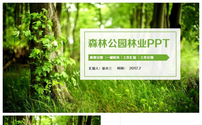 清新林业管理生态自然保护森林公园园林PPT缩略图