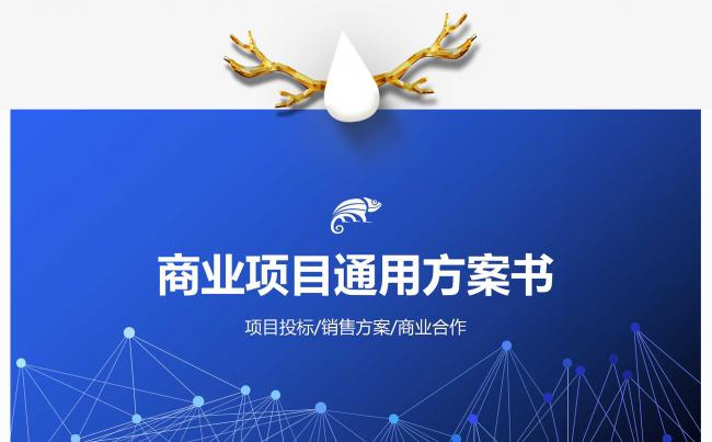 商业项目通用方案书（项目投标、销售方案、商业合作）缩略图