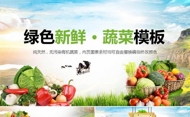 绿色有机新鲜蔬菜ppt动态模板 健康养生水果蔬菜 绿色无公害缩略图