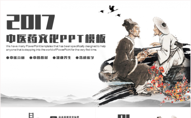简约中国风中医中药养生医疗卫生2017工作计划PPT模板缩略图