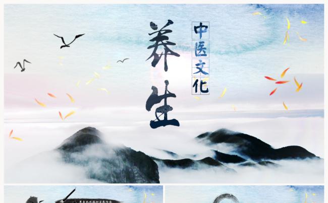 中国风中医药养生保健康复传统文化水墨PPT缩略图