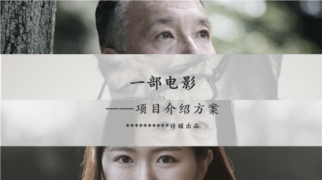项目介绍方案