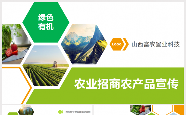 绿色生态农业招商农副产品PPT缩略图