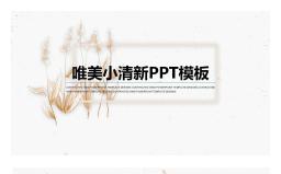 小清新唯美小花PPT模板.pptx缩略图