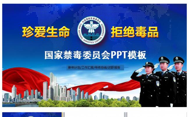 国家禁毒委员会2017年工作总结PPT缩略图