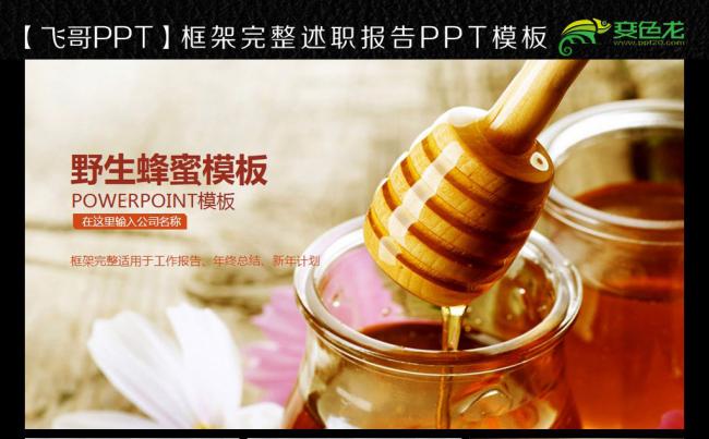 【飞哥PPT】 蜂蜜 蜂窝 纯野生蜂蜜 ppt缩略图