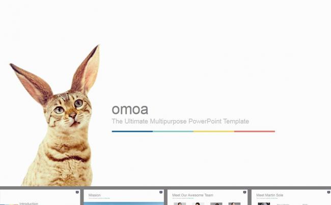 欧式动物猫咪工作总结PPT模板缩略图