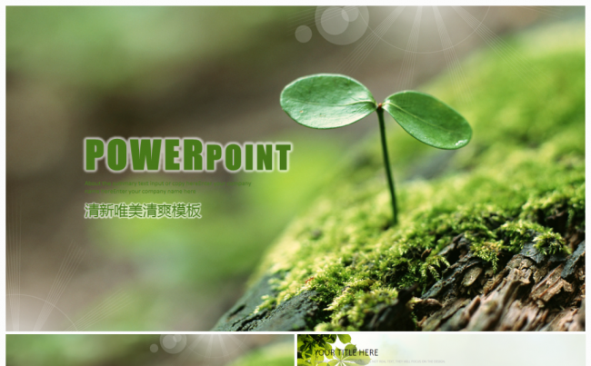 绿色春天小树发芽教育培训动态PPT模板缩略图