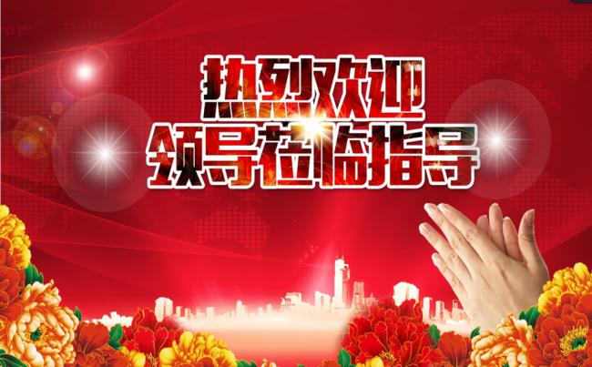 精美大气热烈欢迎领导莅临检查工作PPT缩略图