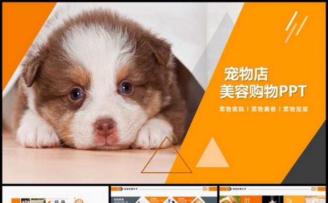 宠物店宠物美容宠物医院PPT缩略图