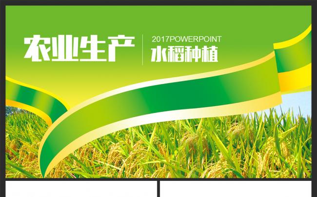 农业生产水稻播种新农村建设动态PPT缩略图