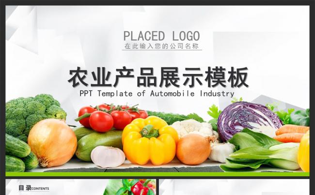 2017农业招商水果蔬菜展示营销策划ppt缩略图