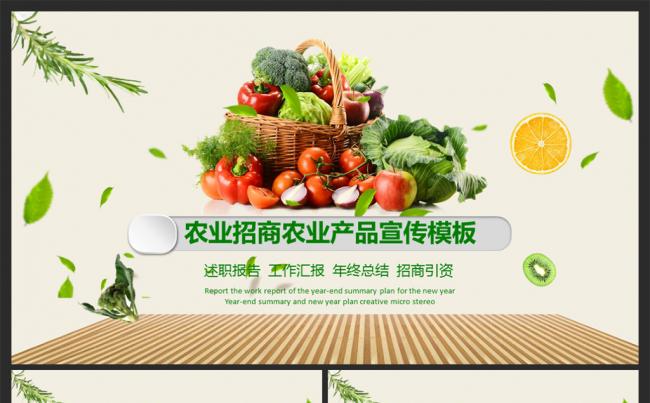 清新动感生态农业绿色生产招商农产品新农村建设PPT缩略图