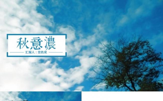 【秋意浓】创业商业计划书工作汇报述职报告PPT模板缩略图