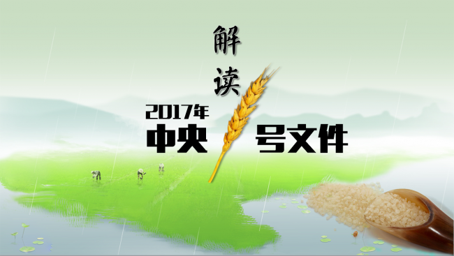 2017年中央农业一号文解读学习课件
