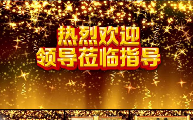 热烈欢迎领导莅临检查工作PPT模板缩略图