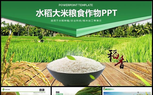 水稻大米农业丰收PPT缩略图