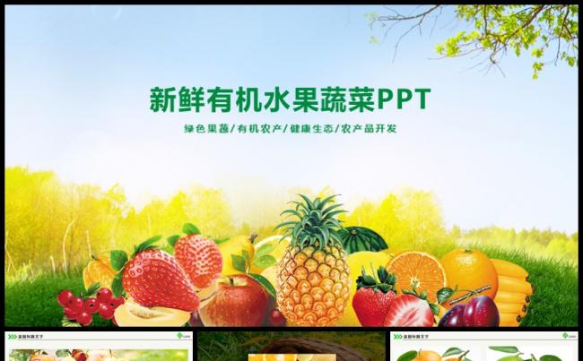 水果生鲜蔬菜农业科技PPT缩略图