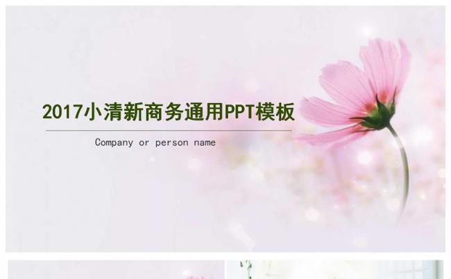2017唯美小清新商务PPT模板缩略图