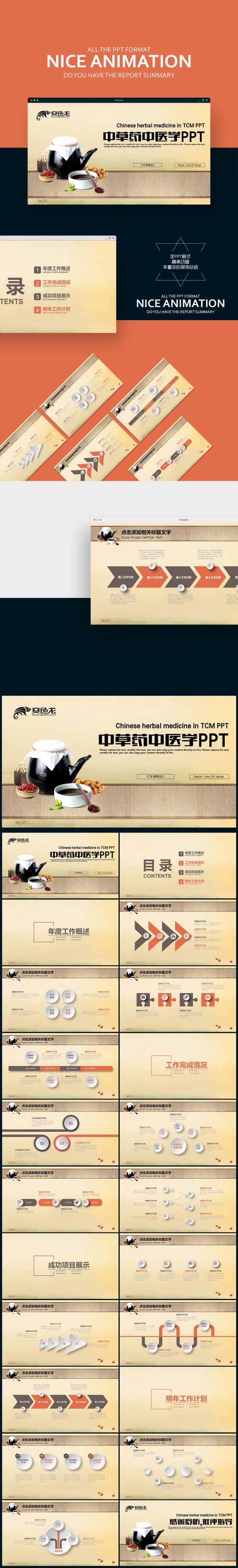 【壹德】中国风 养生 药材药学 中草药中医学 中医针灸PPT